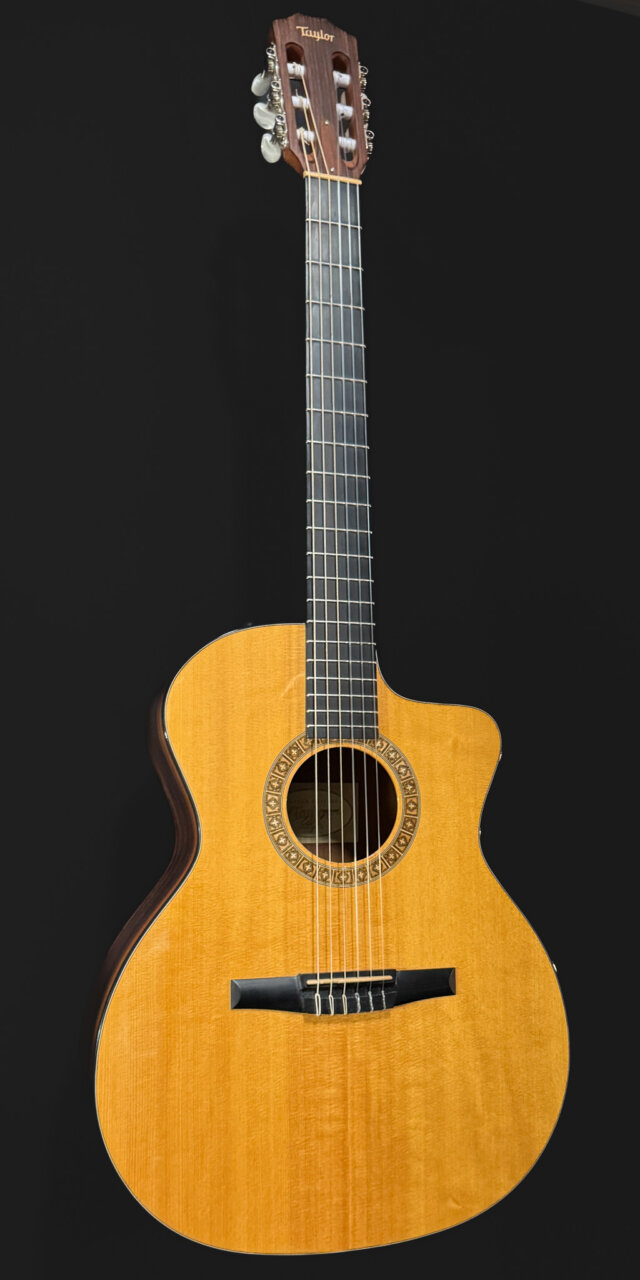 Taylor NS24CE-G Nylon-String Electric-Acoustic 2021