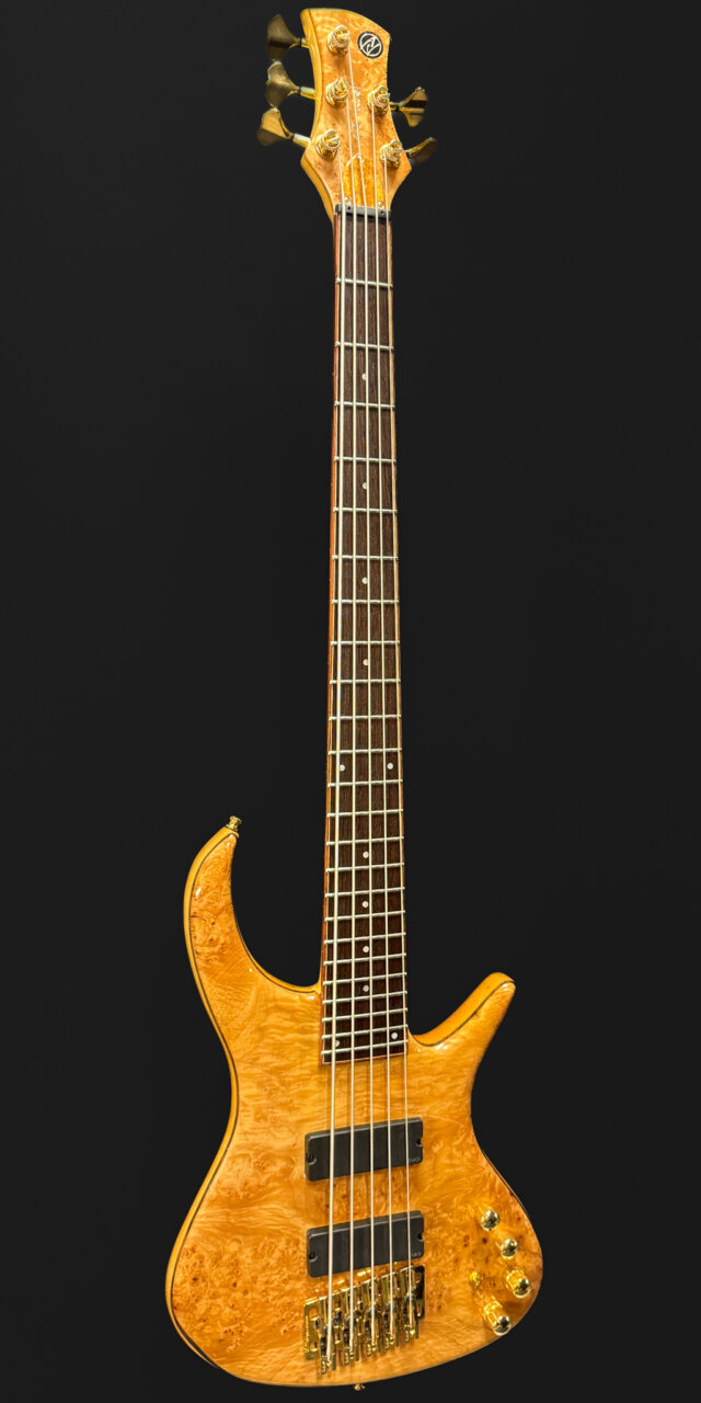 Aleš Vychodil AV1 5-string bass
