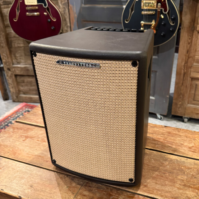 Ibanez Troubadour T80II-U