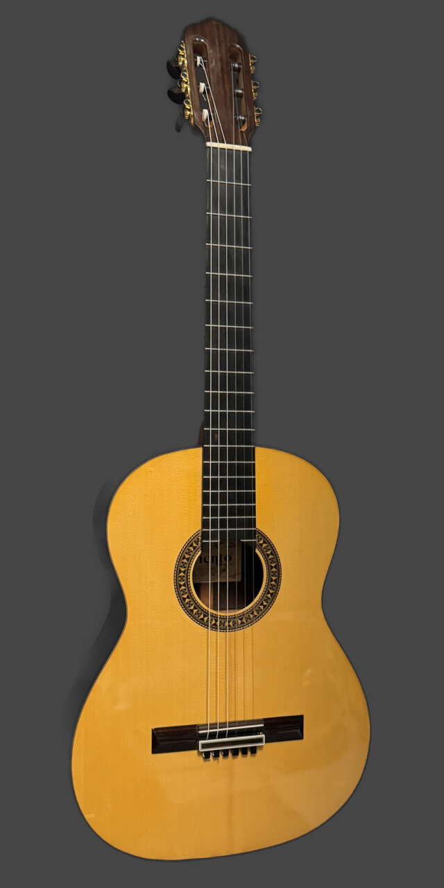 Riento Concierto S 01500