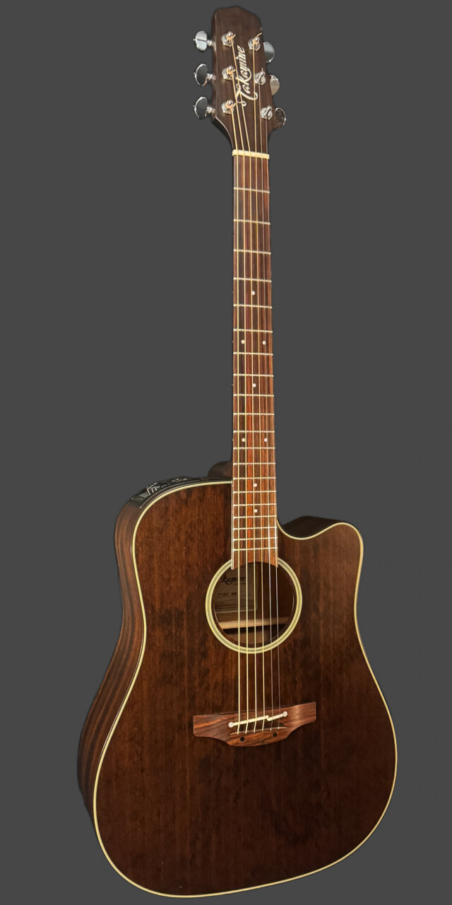 Takamine P1D SM Japan