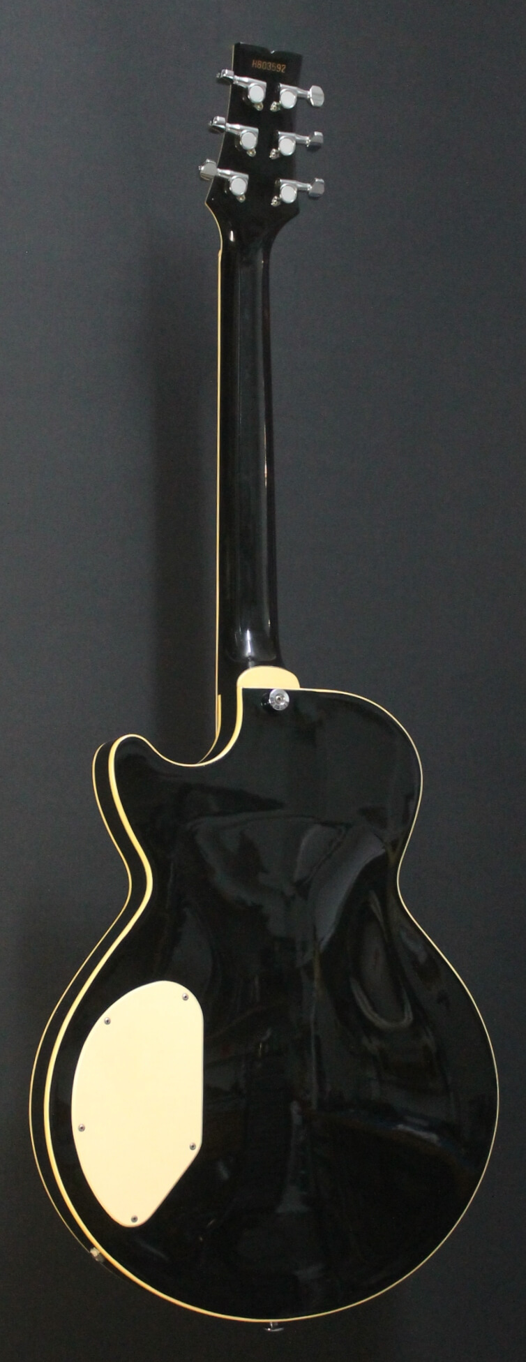 Ibanez AE200 1988 | Kitarakuu